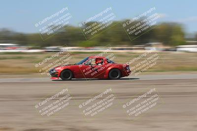 media/Oct-04-2025-OnGrid (Sat) [[44bd565ffa]]/Yellow Group/Grapevine/